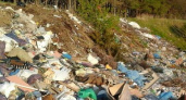 Власти потратят почти 10 миллионов рублей на ликвидацию незаконных свалок в Новороссийске