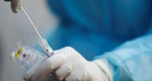 За сутки в Новороссийске выявлено 9 новых случаев заражения коронавирусом