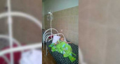 «Температура 40,2°C »: мамы заболевших детей из станицы Раевской рассказали о массовом заболевании кишечной инфекцией