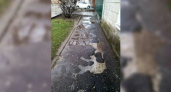«Как будто тут была бомбежка»: горожане возмущены состоянием тротуара на одной из улиц Новороссийска