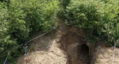 Новороссийские поисковики нашли в лесу таинственное подземелье с туннелями