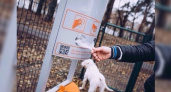 Дог-боксы для уборки за собаками установят на набережной Новороссийска