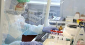 На Кубани подтвердили пять новых случаев заболевания коронавирусом