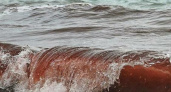 Под Новороссийском море окрасилось в багрово-красный цвет: цветение водорослей или загрязнение морской воды?