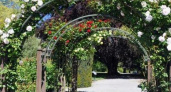 В Новороссийске установят 19 белоснежных арок, по которым будут виться цветы