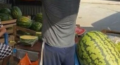 Царская ягода: на анапском рынке продают арбуз весом 70 кг