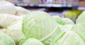 В Новороссийске капуста за неделю подорожала на 33 рубля