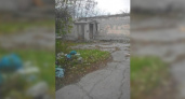 Заброшенная больница в поселке Верхнебаканский превратилась в свалку, туалет и кладбище домашних животных