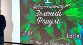 Убрать «дыры» в законе и высаживать многолетние цветы для экономии: специалисты поделились идеями по озеленению Новороссийска