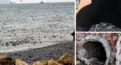"Вода мутная, грязная и воняет! Это канализация!": новороссийцы прошлись по набережной и зафиксировали сливы в море