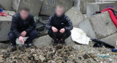 Двум новороссийцам грозит срок за вылов мидий