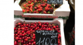 Черешня - 1100 рублей за килограмм: цены на фрукты и ягоды продолжают шокировать новороссийцев