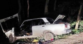 Местные жители обнаружили разбитую «семерку» в лесу под Новороссийском