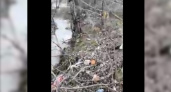 «Разве это нормально?»: новороссийцы сняли на видео, как жители частного дома вывели канализацию в реку Цемес