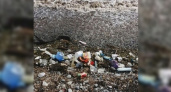 «Берег и море настолько грязные, что воняют»: новороссийский пляж Алексино утонул в мусоре