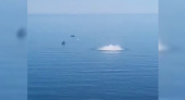 Появилось видео взрывов авиационных бомб в море у берегов Новороссийска