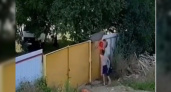 «Я у мамы инженер»: видео похищения садовой тачки кубанскими школьниками рассмешило пользователей Интернета