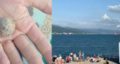 В Новороссийске в море на пляже "Кристалл" нашли предмет, который взорвался при контакте с воздухом