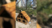 Школьники из Новороссийска смастерили домик для котов. Но уже на следующий день его украли