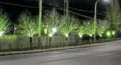 В Восточном районе Новороссийска оформили подсветку деревьев