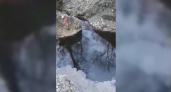 «Сброс воды без цвета и запаха»: специалисты обследовали черный зловонный ручей, вытекающий в реку Цемес, в пригороде Новороссийска