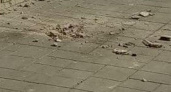 В Новороссийске рушатся дома: кусок бетонного карниза упал на тротуар