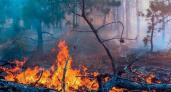 Лесные пожары на Кубани остановят вовремя