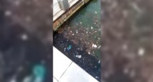 Жители Новороссийска сняли на видео кучи мусора, плавающие в море у берега