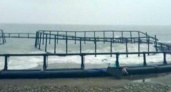 Рыбаки Новороссийска ждут форель: в Сочи шторм снова выбросил на берег рыбоводческую ферму