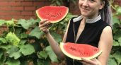 Где купить самые вкусные арбузы в Новороссийске: эксперимент НАШЕЙ