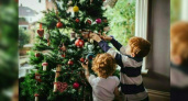 В центре елки дешевле, чем в пригороде. Как новороссийцам сэкономить при покупке новогоднего дерева?