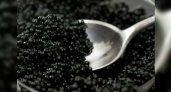 На Кубани будет своя черная икра: запущен проект по производству деликатеса