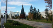 В Новороссийске украсили главную елку города