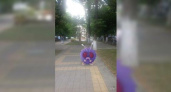 Белку поймать проще, чем покемона: как журналист НАШЕЙ испытывал игру Pokémon GO