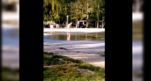 Очевидцы сняли видео, как голая женщина купается в фонтане Новороссийска