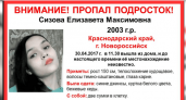 К поискам школьницы из Новороссийска подключились волонтеры отряда «Лиза Алерт»