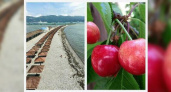 Черешня поспевает и здравствуй, море! - что постили новороссийцы в социальных сетях