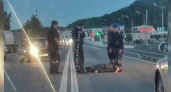 В Новороссийске автомобиль сбил пешехода: пострадавший госпитализирован