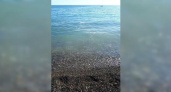 Новороссийцы жалуются на грязное от кораблей море