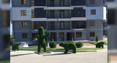 Новороссийцы заметили на улицах города зеленых медведей