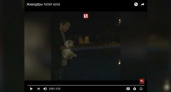«Это жизнь, брат!»: на Кубани живодеры пытались утопить кота и снимали это на видео