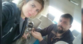 Спасенный в Новороссийске енот уехал в Воронеж: животному дали имя и нашли новый дом