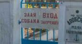 «На самом деле маяк не мигает, как кажется»: НАША побывала в гостях у смотрителя Дообского маяка