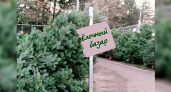 Стало известно, когда в Новороссийске откроются елочные базары