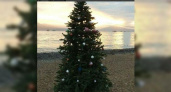 Елочке не холодно зимой: в Новороссийске на пляже установили новогоднюю ель