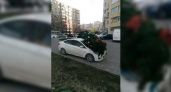 В Новороссийске ветром сдувает новогодние елки: одна из них упала на автомобиль