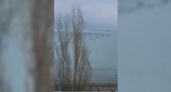 Жители Новороссийска сняли на видео, как над акваторией Цемесской бухты летят «тучи» птиц