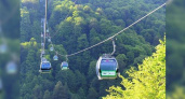 В Геленджике хотят построить канатную дорогу за полтора миллиарда