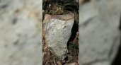 Под Новороссийском нашли камень «с необычным отпечатком»: жители выдвинули версию о существовании гигантских пчел