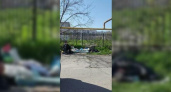В Новороссийске рядом со школой поселились бомжи: жители близлежащих домов обеспокоены безопасностью детей